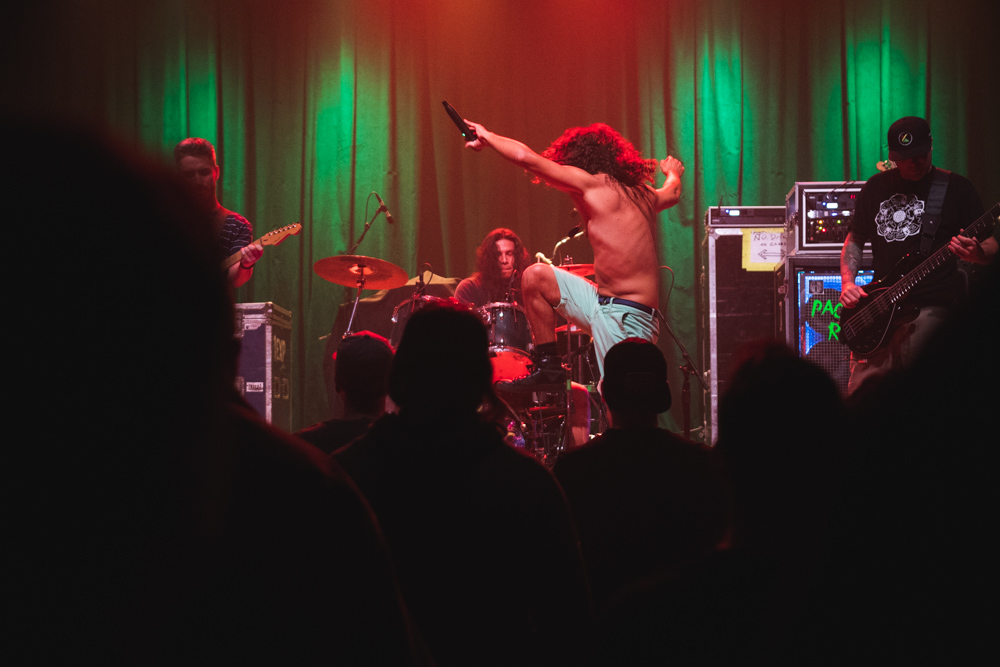 Pacific Roots, Aladdin Theater, photo by Joe Bitters