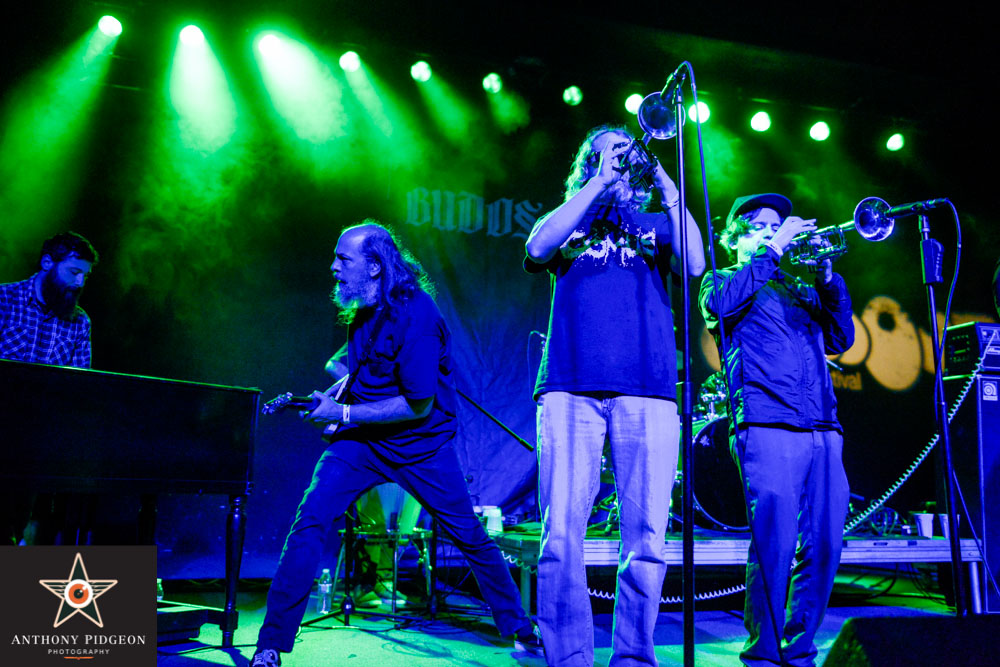 Photos of Soul'd Out Music Festival: The Budos Band and The True Loves ...