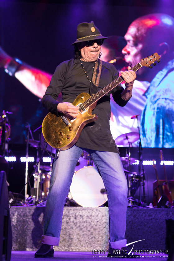 Santana, Sunlight Supply Amphitheater, photo by Terry White