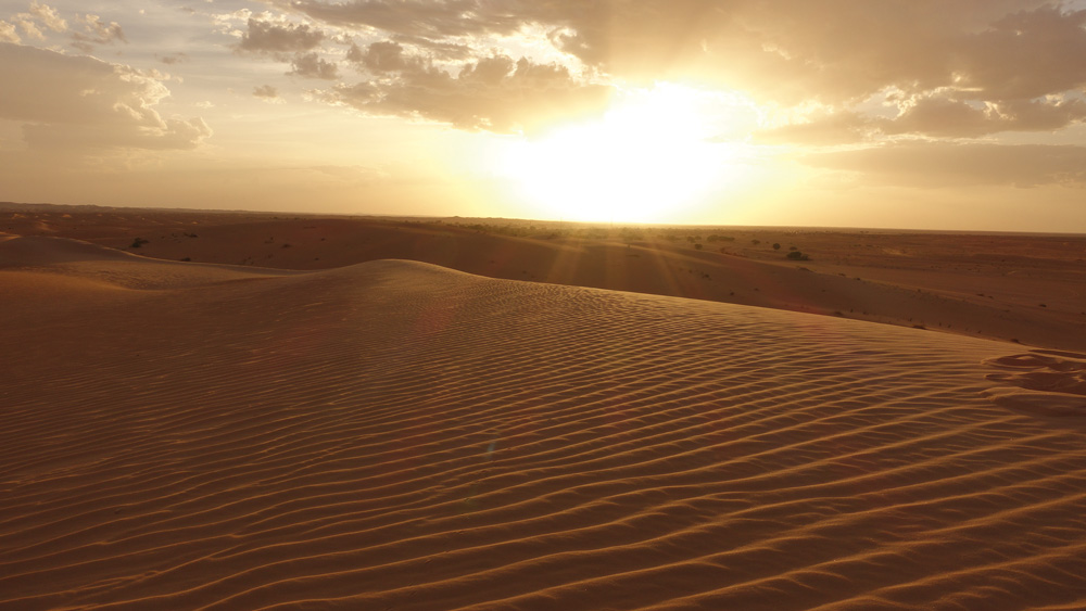 This music survived in a network of phones': El Wali, the shapeshifting  voice of Saharan struggle, Music