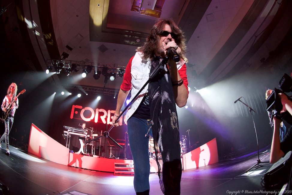 Foreigner, Ilani, photo by John Alcala