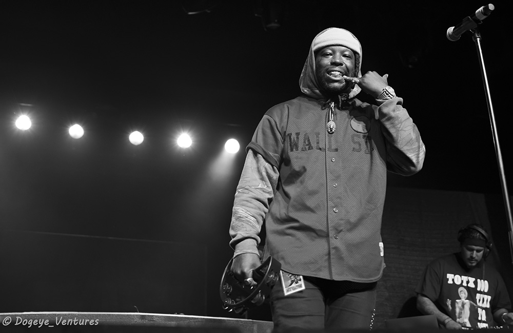 Wild the Coyote, Badd Wolf, Roseland Theater, photo by Ashley Strom