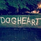 Dogheart