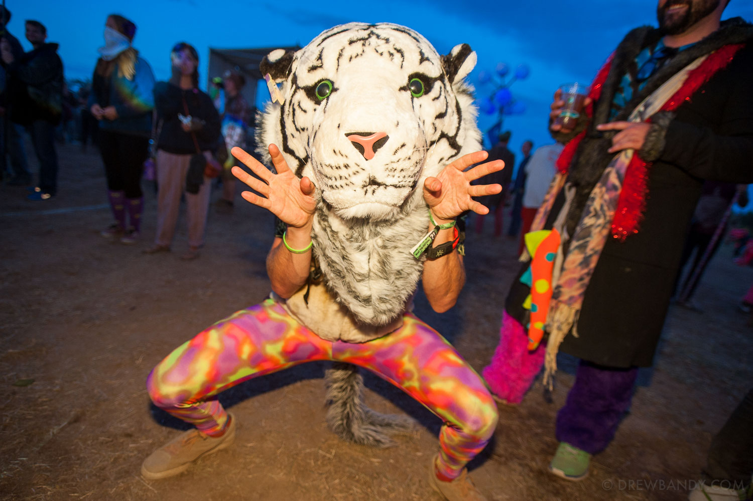 What The Festival, photo by Drew Bandy