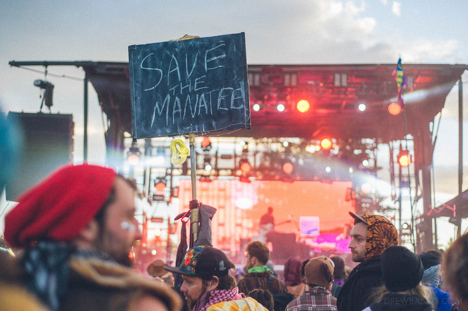 What The Festival, photo by Drew Bandy