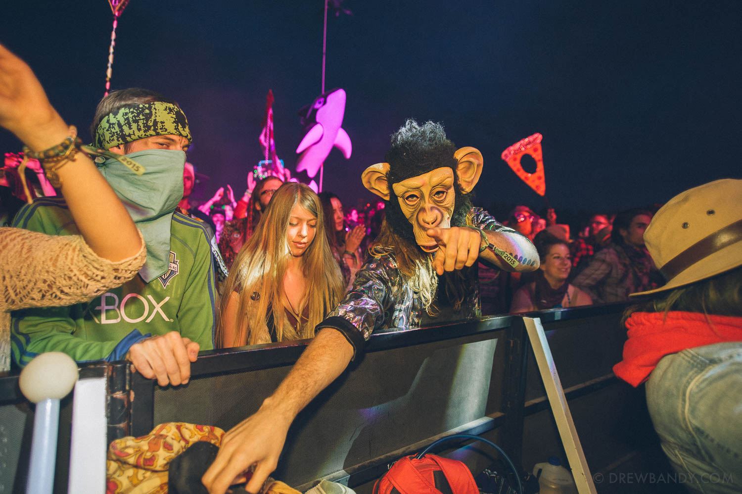 What The Festival, photo by Drew Bandy