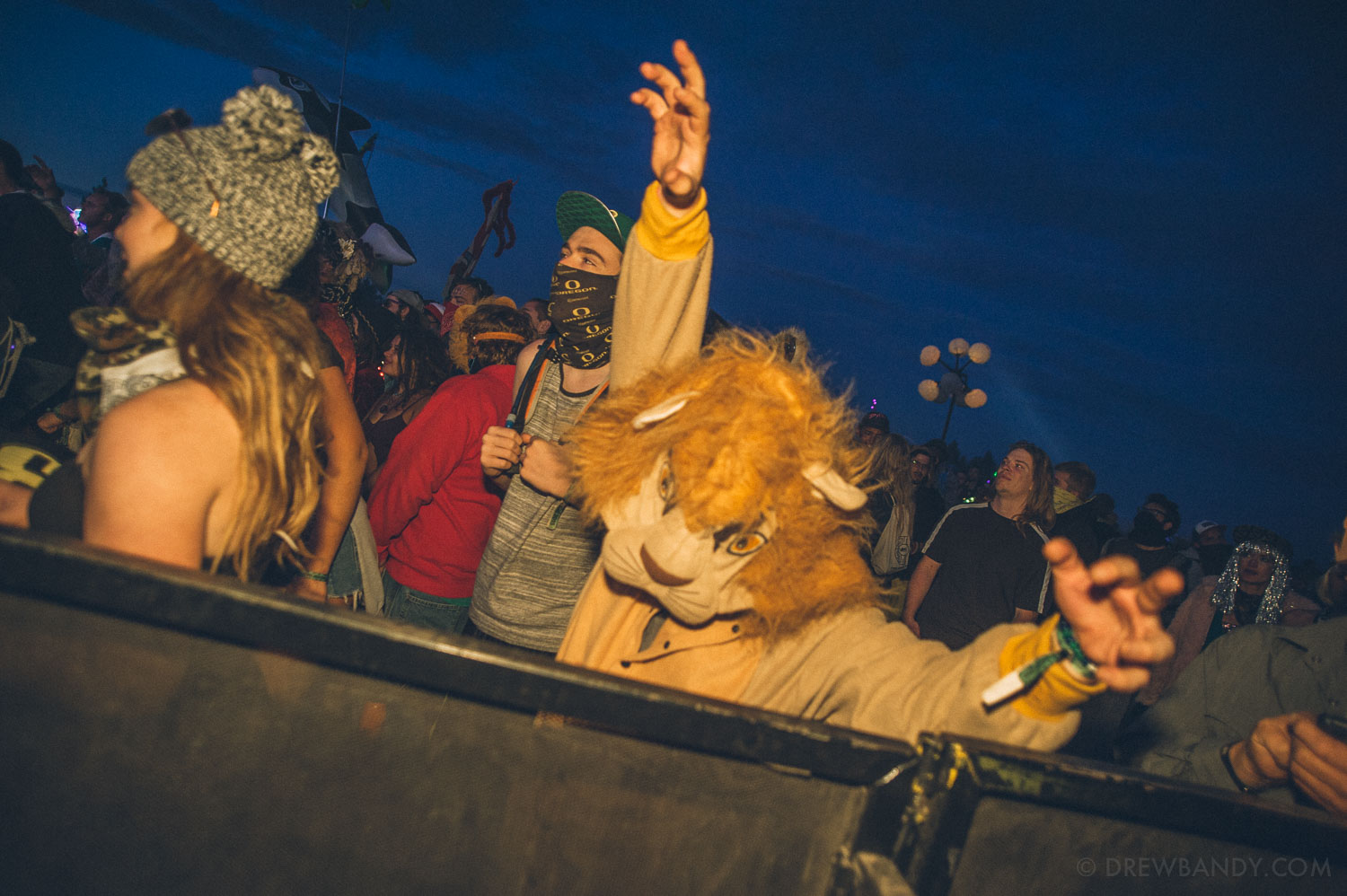 What The Festival, photo by Drew Bandy