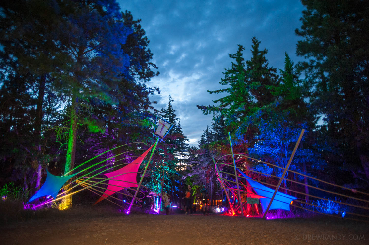 What The Festival, photo by Drew Bandy