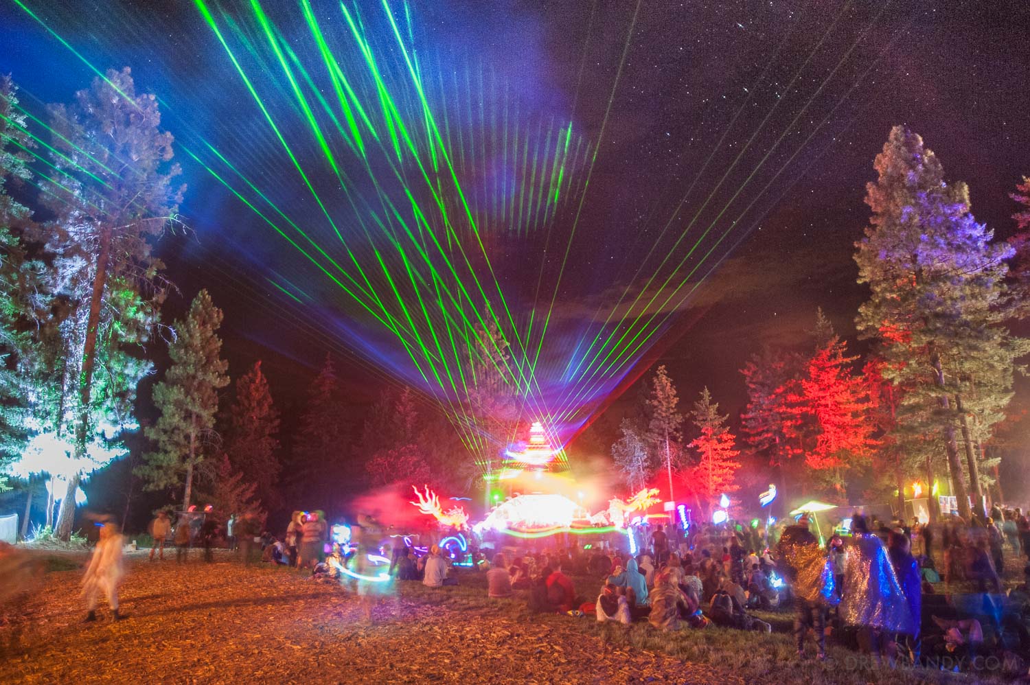 What The Festival, photo by Drew Bandy