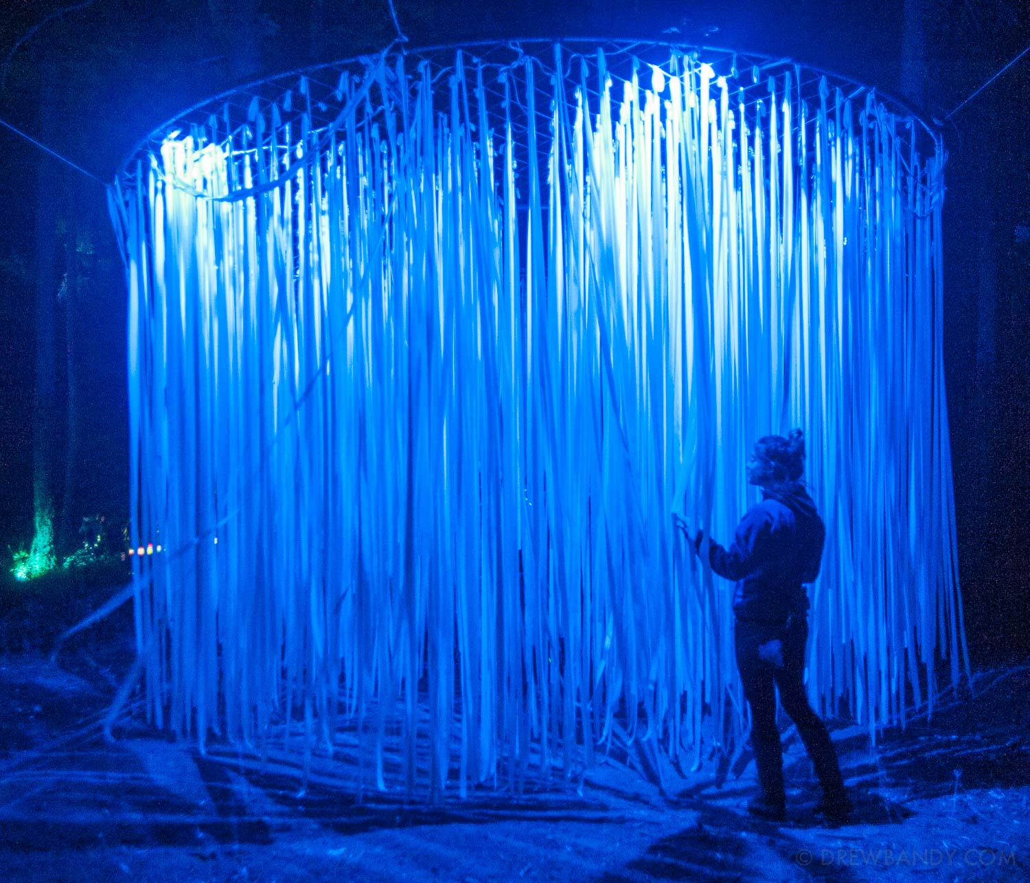 What The Festival, photo by Drew Bandy