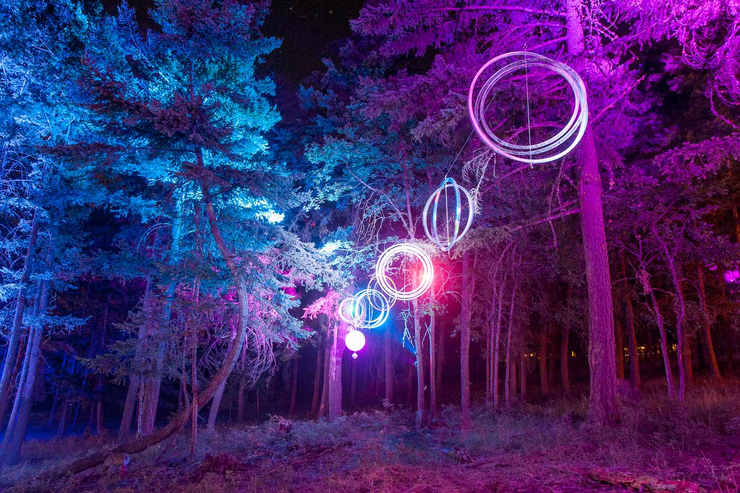 What The Festival, photo by Drew Bandy