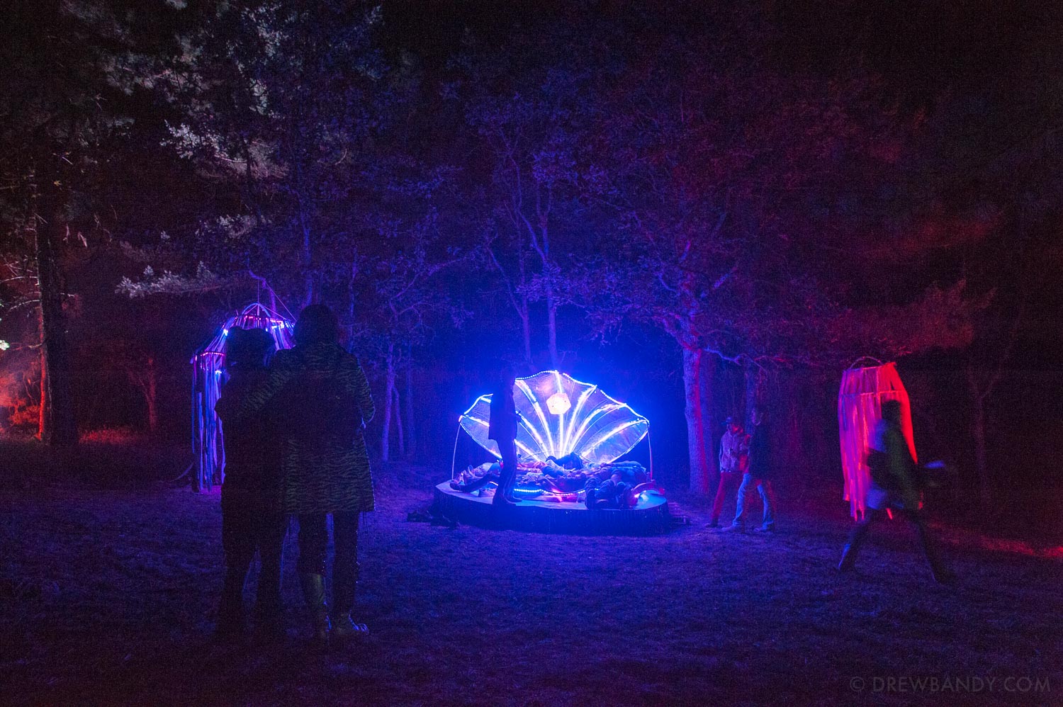 What The Festival, photo by Drew Bandy