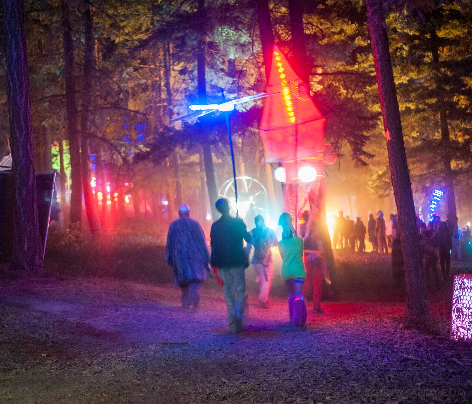 What The Festival, photo by Drew Bandy