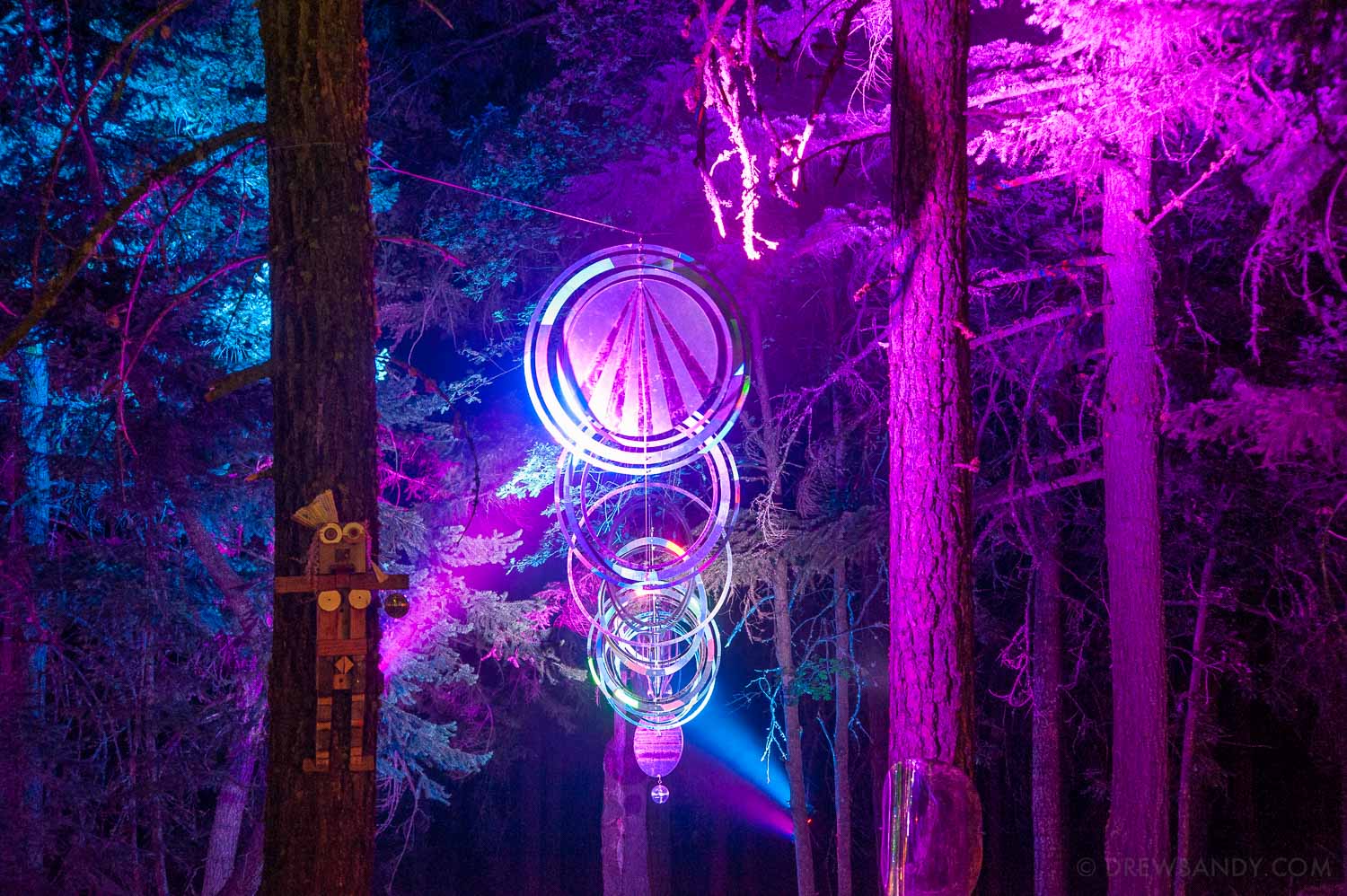 What The Festival, photo by Drew Bandy