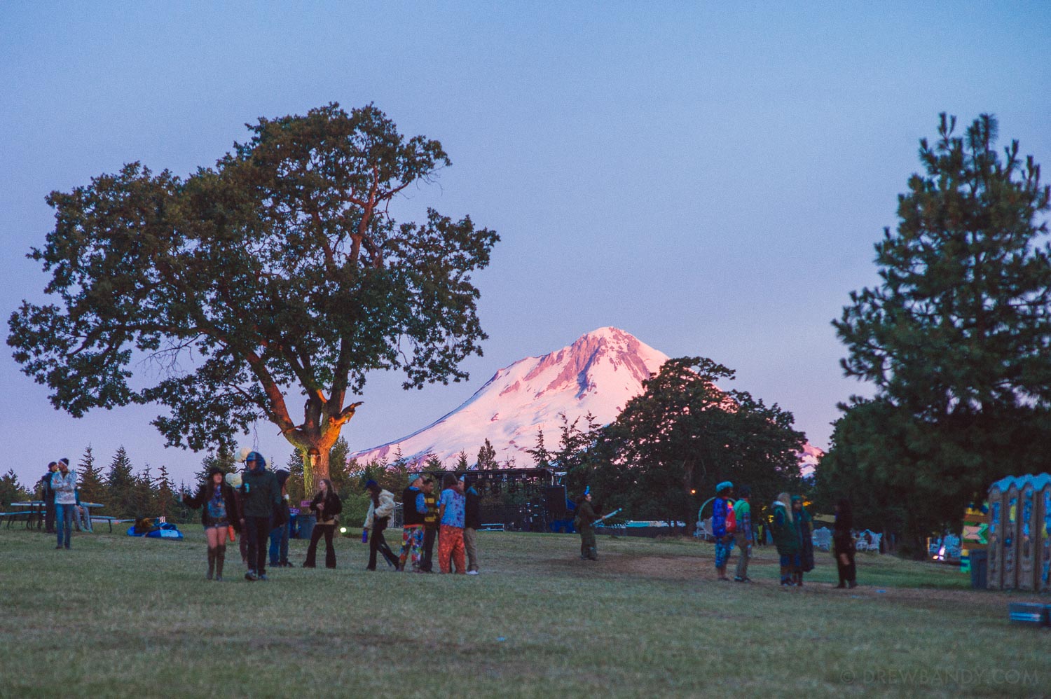 What The Festival, photo by Drew Bandy