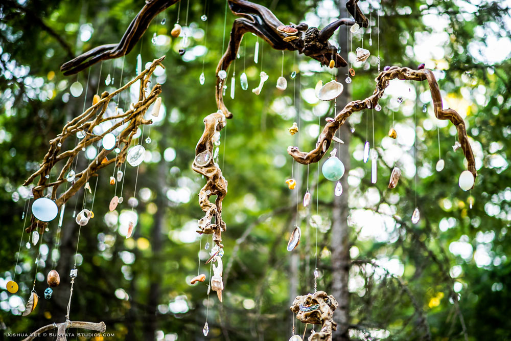 What The Festival, photo by Joshua Lee