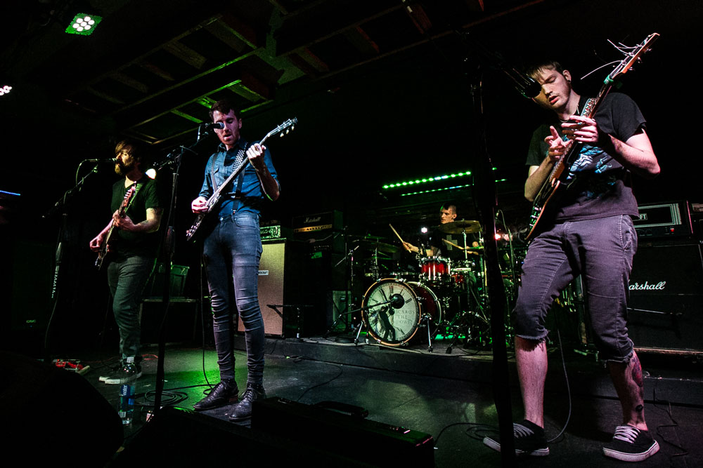 Icarus The Owl, The Analog Cafe [CLOSED], photo by Corey Terrill