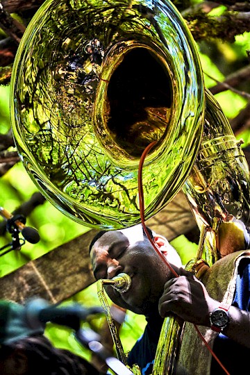 Hot 8 Brass Band on The Woods stage