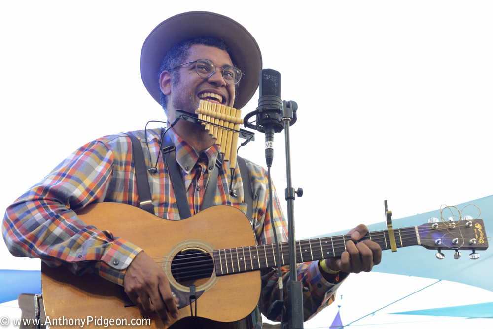 Pickathon, Pendarvis Farm, photo by Anthony Pidgeon