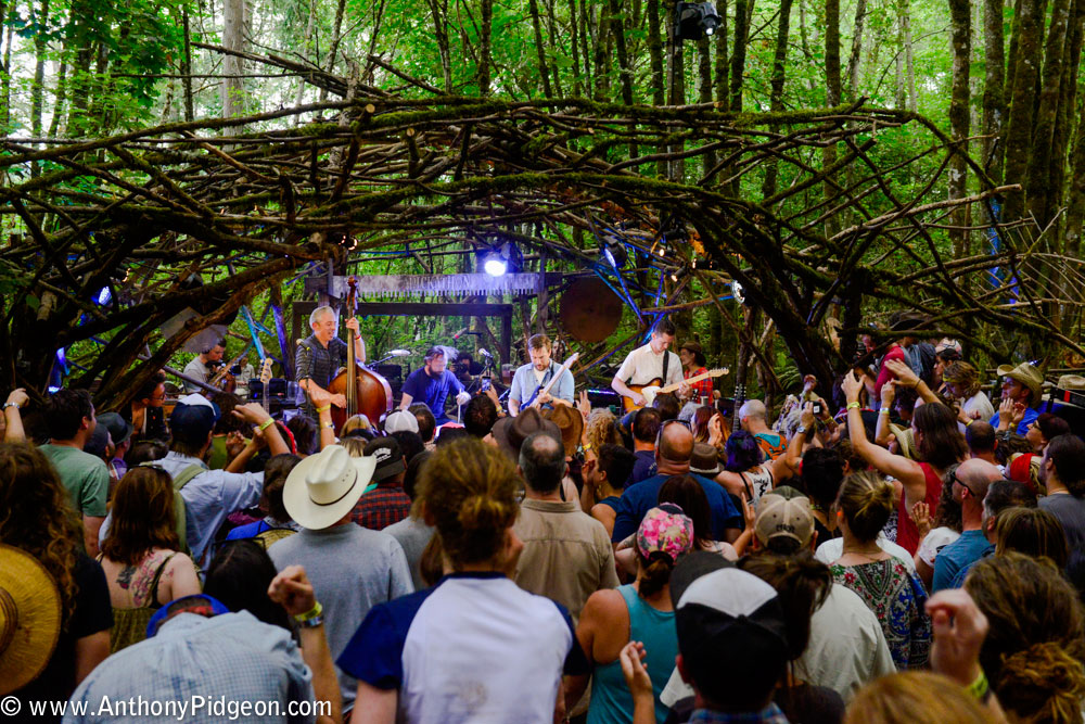Pickathon, Pendarvis Farm, photo by Anthony Pidgeon