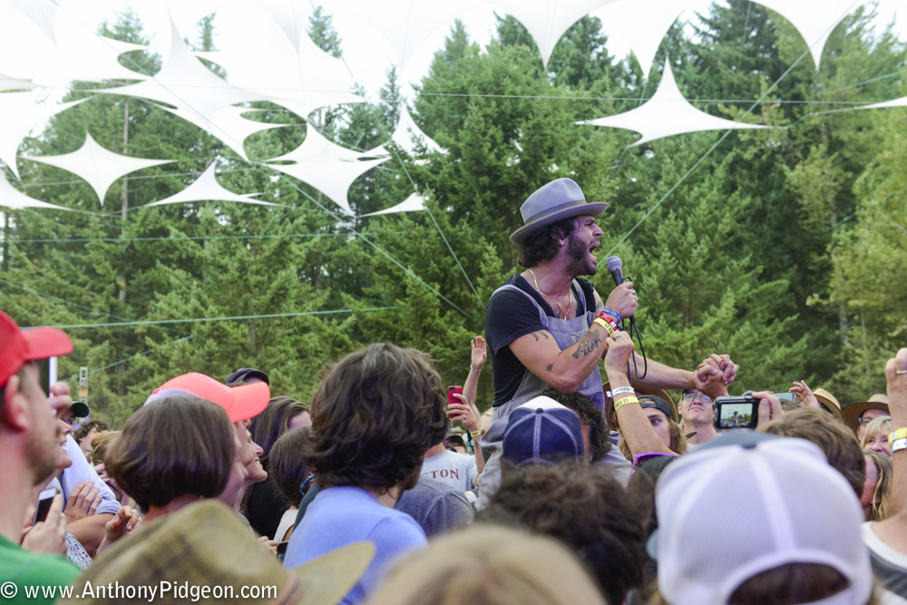 Pickathon, Pendarvis Farm, photo by Anthony Pidgeon