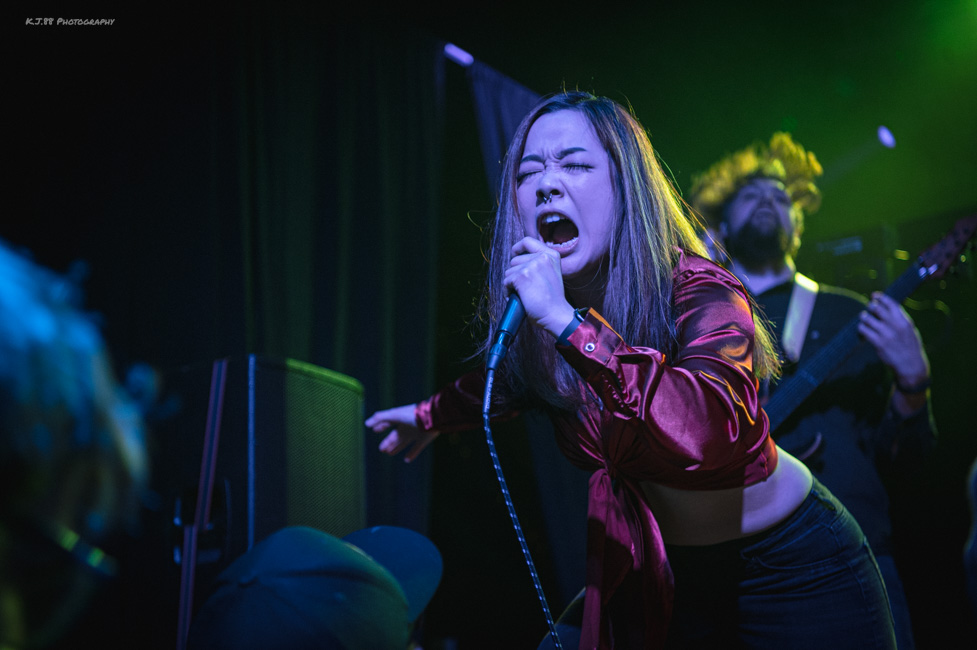 Vintersea, Bossanova Ballroom, photo by Kevin Pettigrew