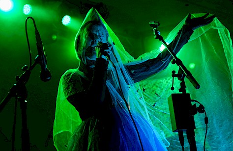 Rubblebucket, Crystal Ballroom, photo by Joe Duquette