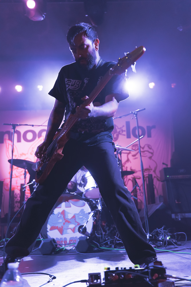 Modern Color, Roseland Theater, photo by Corey Terrill