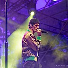 The Revivalists, Tom McCall Waterfront Park, photo by John Alcala
