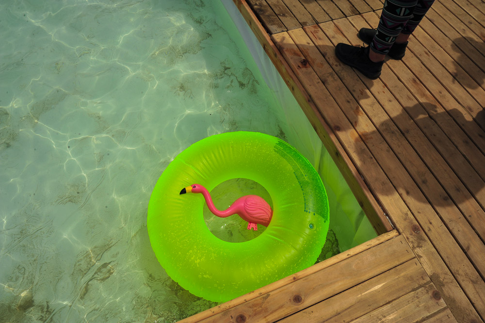 What The Festival, photo by Drew Bandy