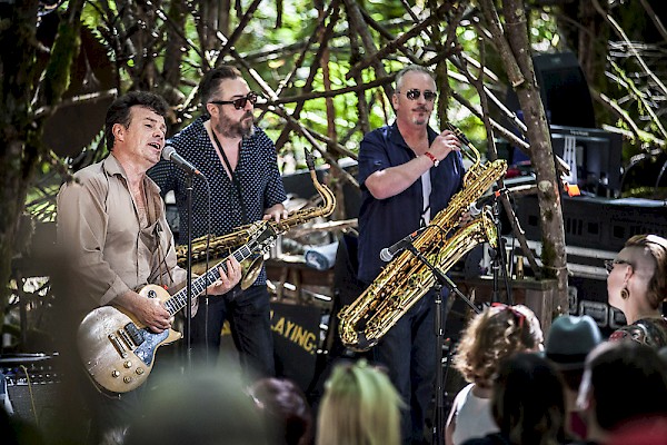The James Hunter Six on the Woods Stage at Pickathon on August 5: Photo by Sam Gehrke