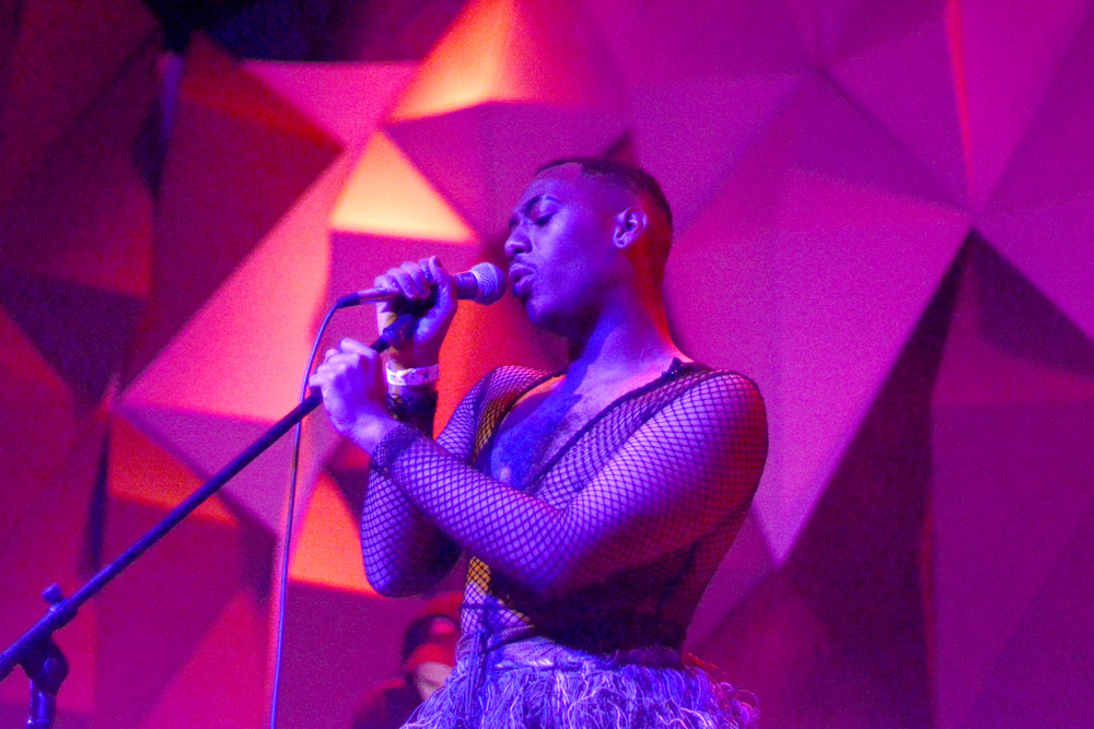 Maarquii, Holocene, photo by Brendon Quinn