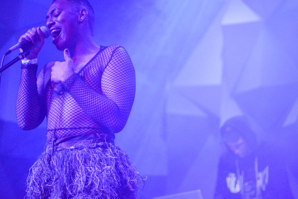 Maarquii, Holocene, photo by Brendon Quinn