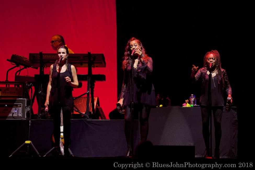 Steely Dan, Moda Center, Rose Quarter, photo by John Alcala