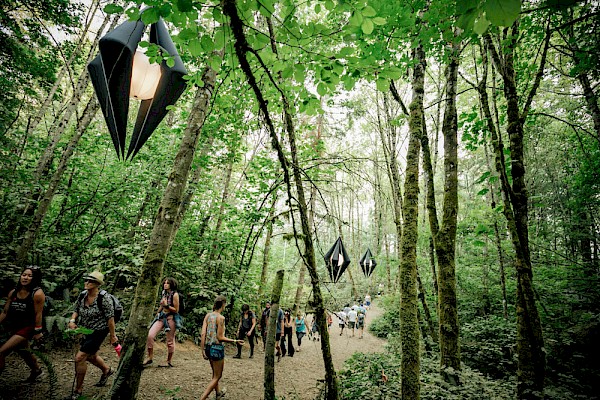 A pathway in the woods at Pickathon in 2018—click to see more photos by Tojo Andrianarivo