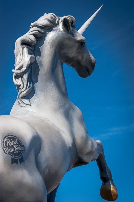 Project Pabst, Zidell Yards, photo by Ronit Fahl